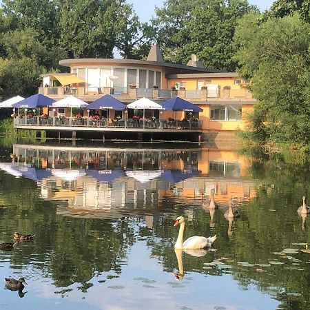Pension Am See Torgau Zewnętrze zdjęcie
